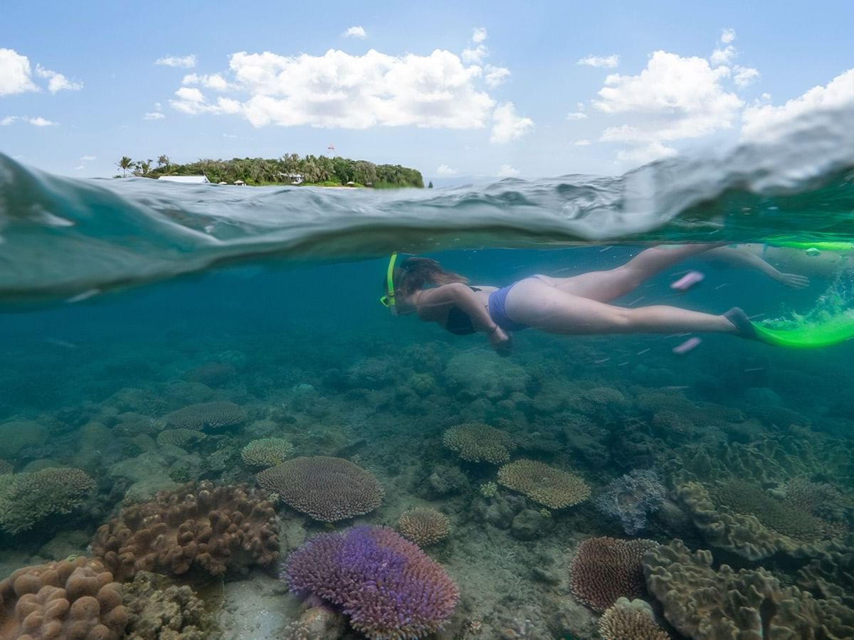 Dive into some unique reef experiences