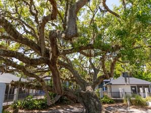 Exterior view of Palm Coast at Legacy Vacation Resorts