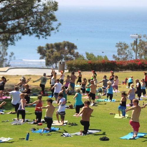 Photo of people doing yoga in a  park.