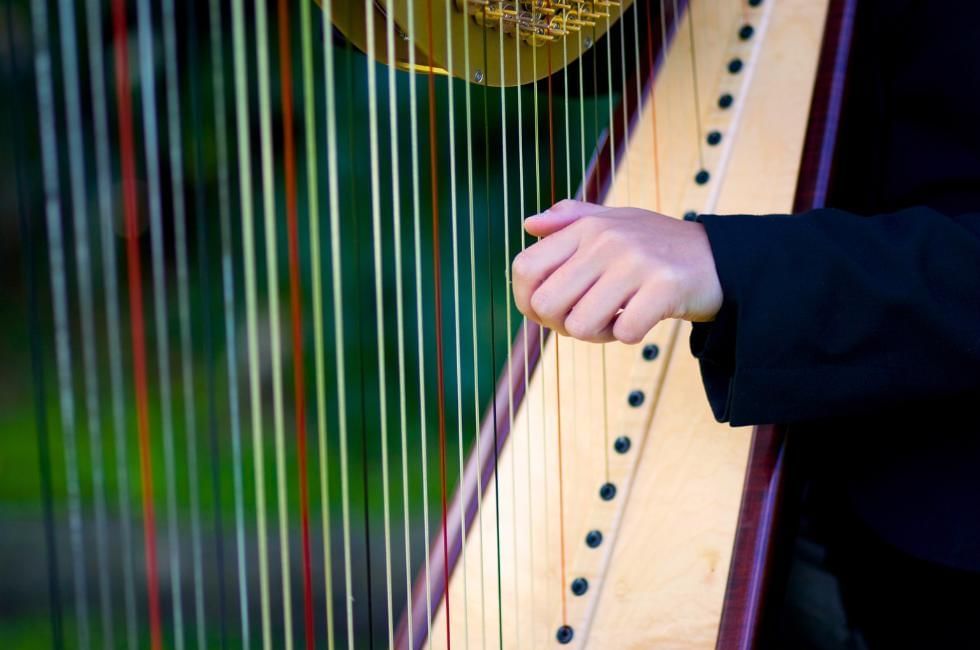 person playing harp at gorse hill in surrey