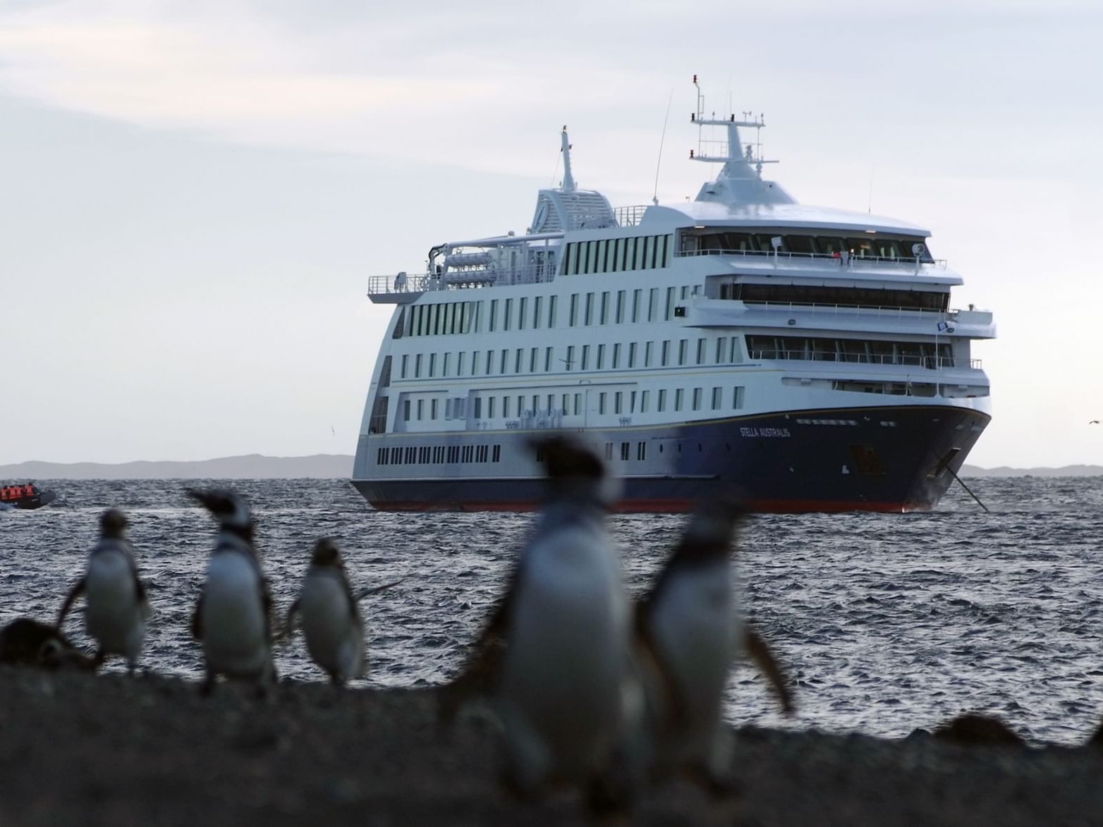 Cruise liner in the sea near Hoteles Australis