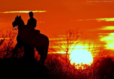 Foggy Gettysburg Battlefield at sunrise with horse.