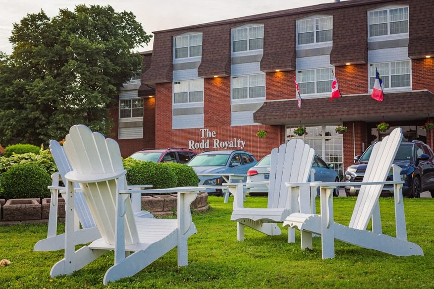 Four white Adirondack chairs facing each other on a green lawn with a sunset in the background at Rodd Royalty