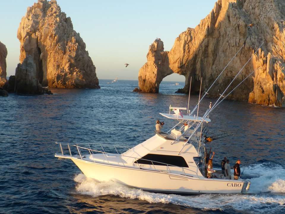 Activities & Things To Do In Los Cabos - Marquis Los Cabos