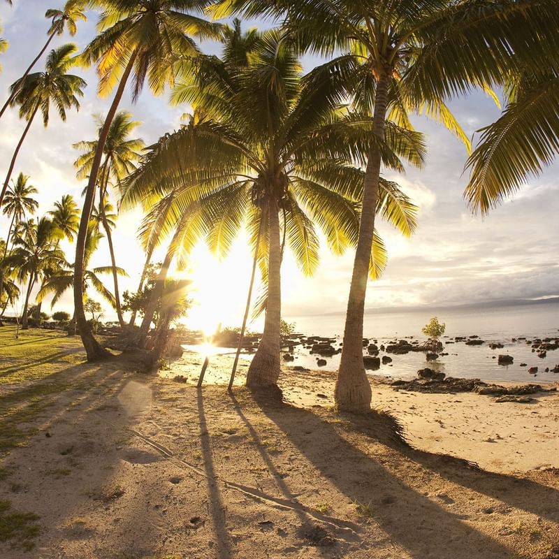 Barrière de Corail Fiji