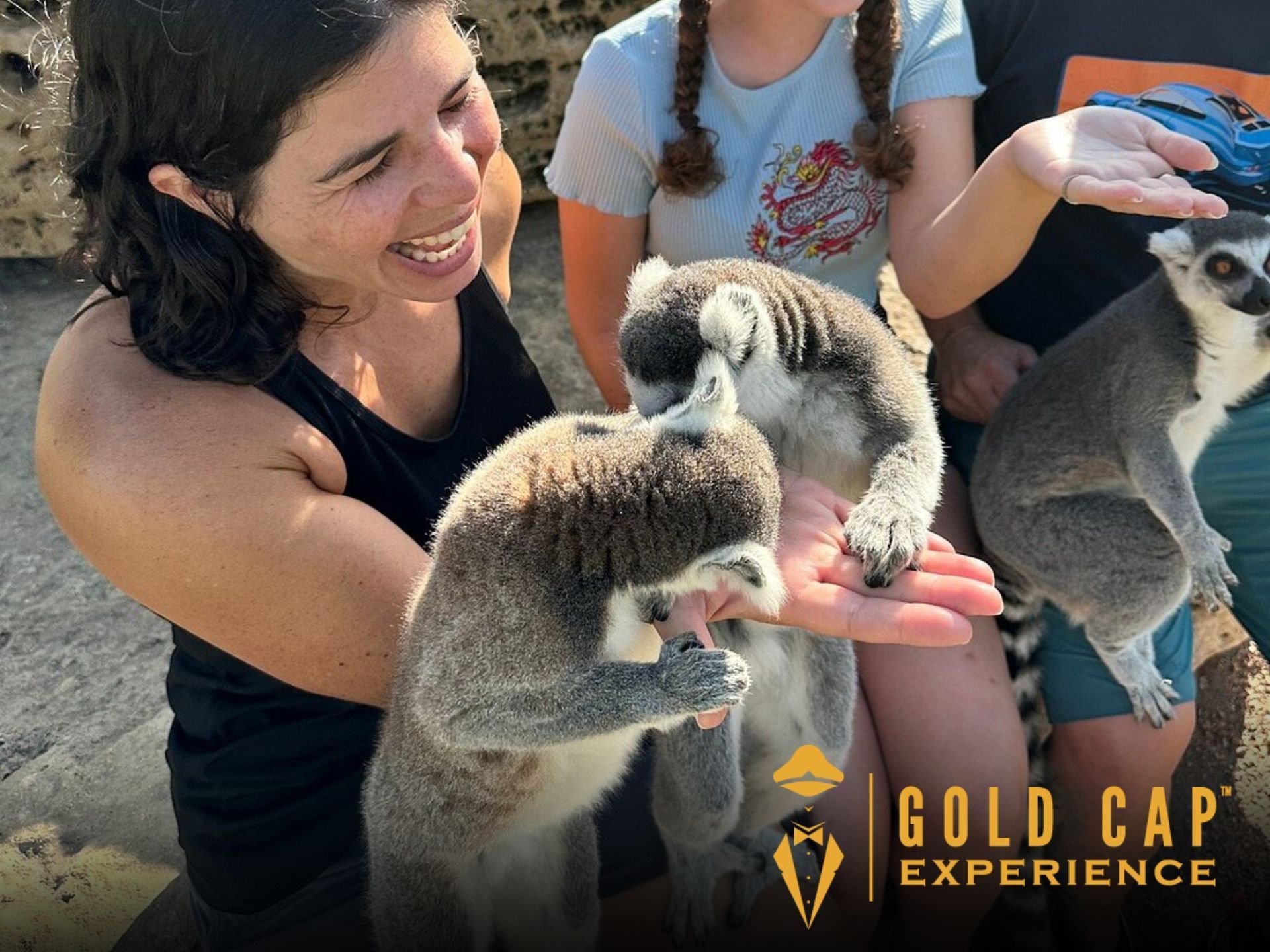 Lemur feeding at Tanganyika Wildlife Park