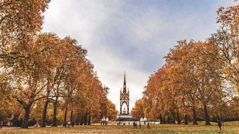 The Just Say Yes Package offer details