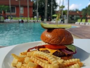 Good looking burger with fries out by the pool.
