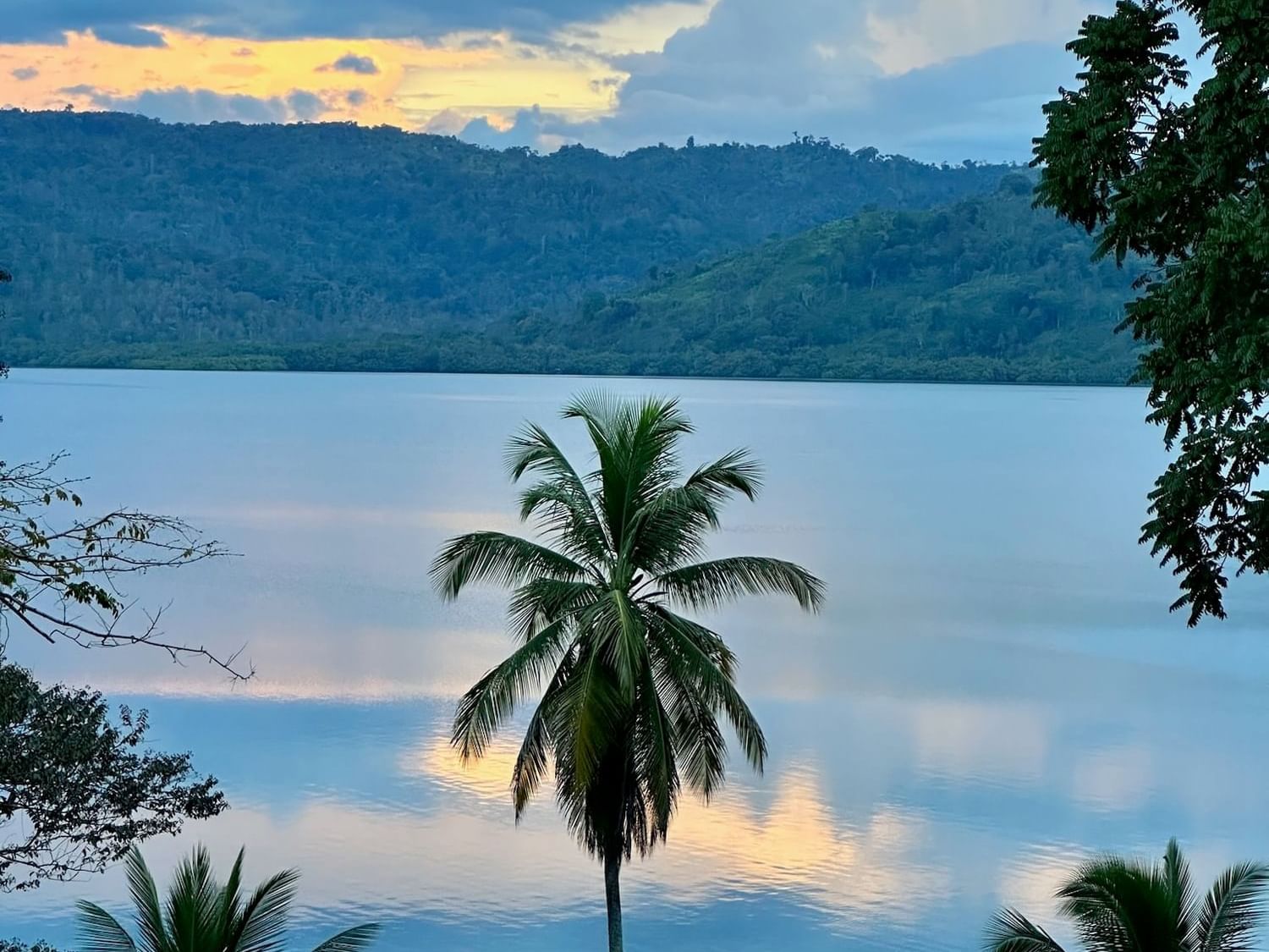 Tropical river view with coconut trees and mountains reflecting on water near Central Hotel Bocas Del Toro