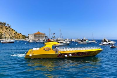 Flying fish tour experience in Two Harbors near Catalina Island Company