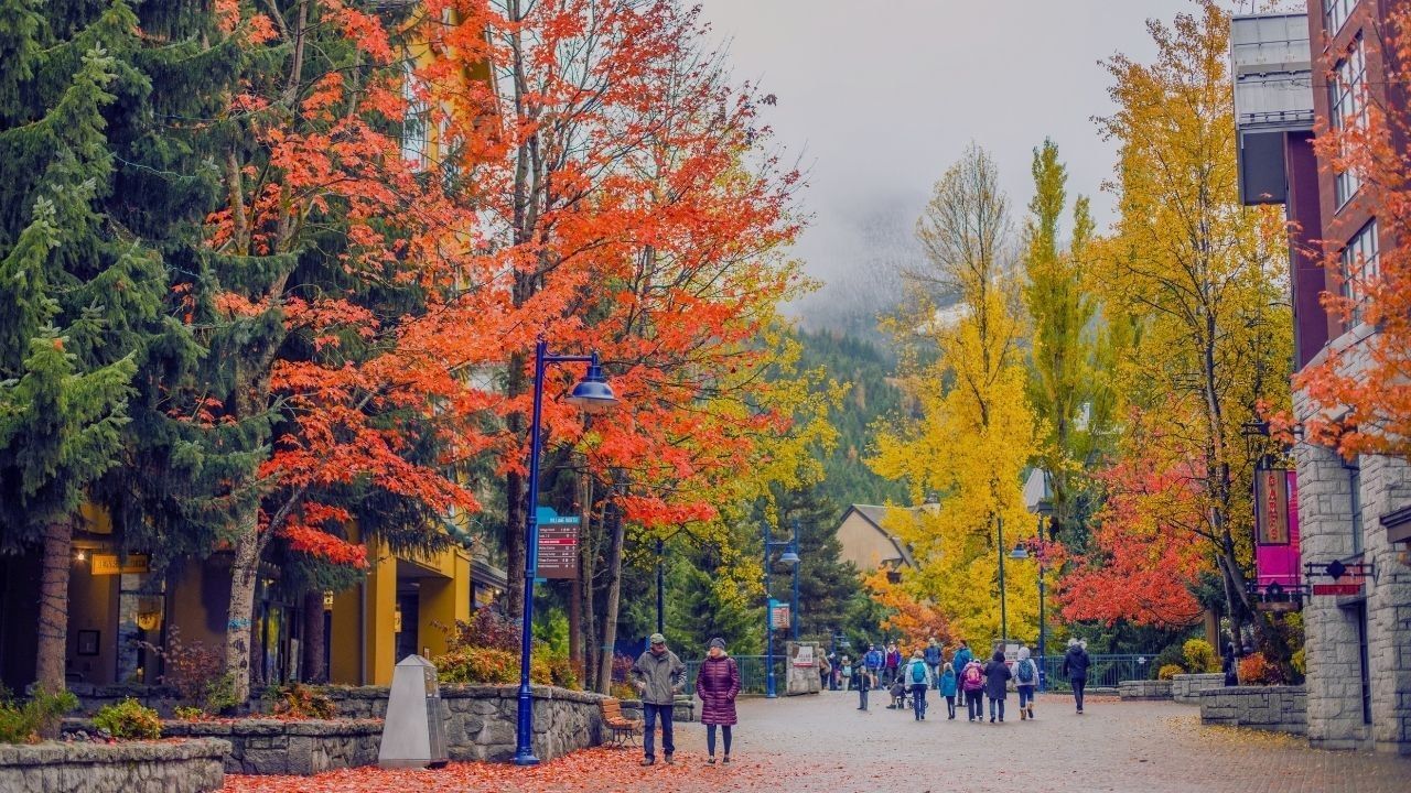 People walk on a paved street lined with colorful trees and buildings, under a cloudy sky.