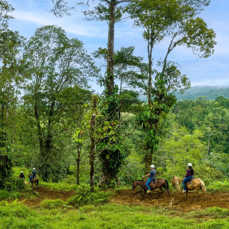 Couples Horseback riding on a trail near Hideaway Rio Celeste