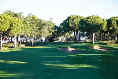 Titanic Golf Club Pines