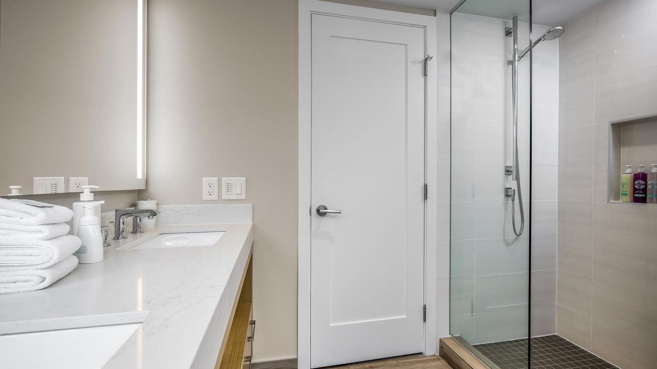 View of the walk in shower