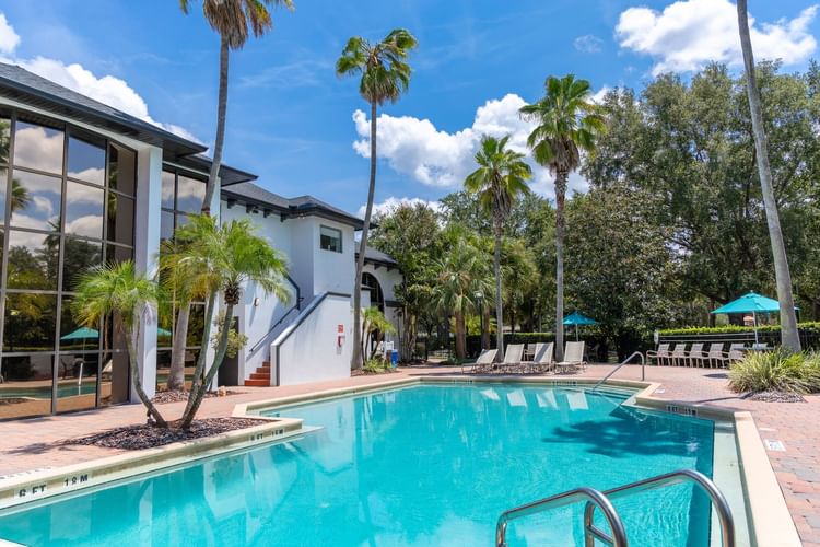 Outdoor pool by lounge chairs and umbrellas surrounded by tall palm trees and lush greenery at Legacy Vacation Resorts