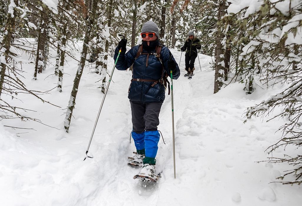 snowshoeing with walking poles