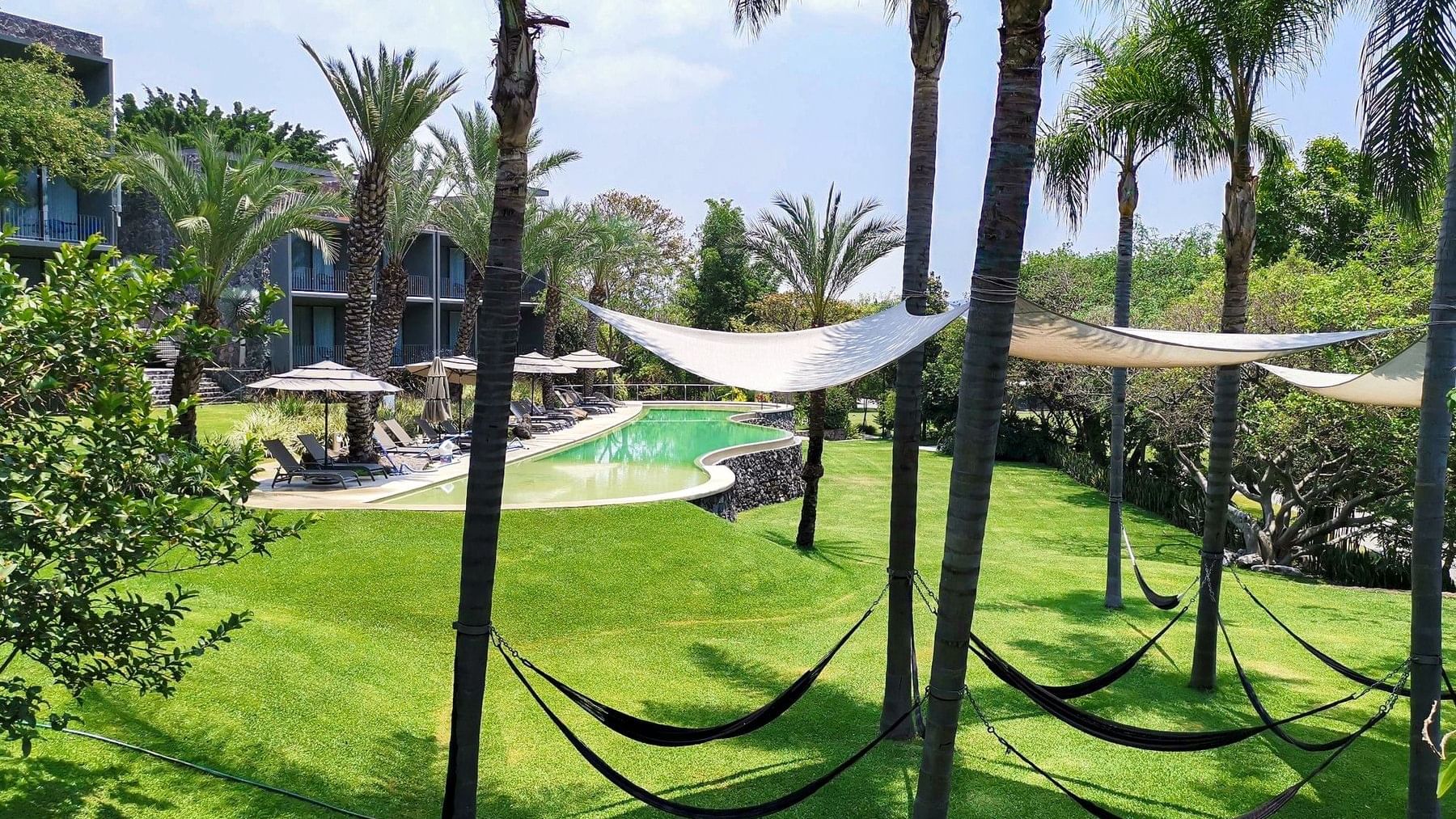 Hammocks in trees by the pool of Huayacan Cuernavaca Curamoria