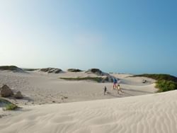 Family enjoying in the Sasarawichi Dunes near Passions on the Beach