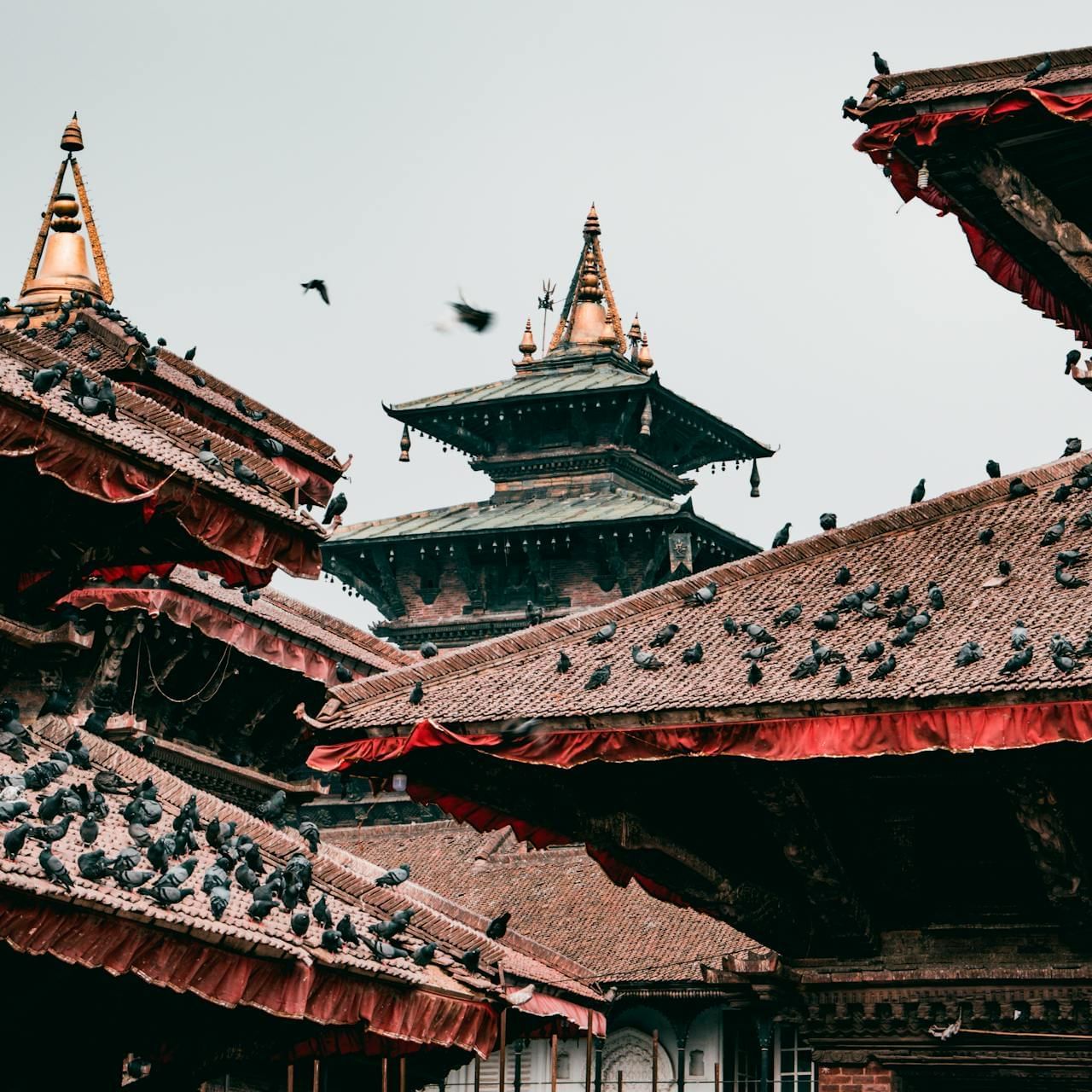 Kathmandu crowned temple with pigeons on tiered roofs against a pale sky near The Terraces Resort & Spa