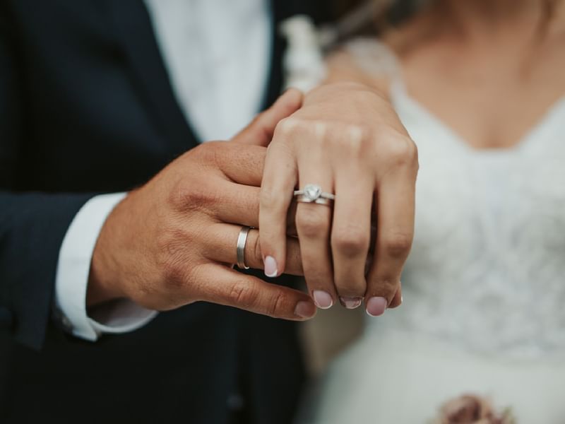 bodas