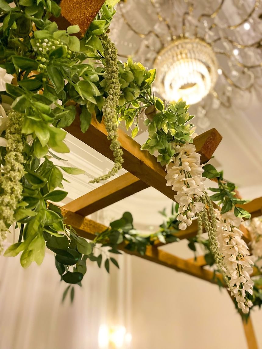 Green leaves on a wooden trellis under a bright chandelier at Rodd Charlottetown Hotel, an apartment hotel in PEI
