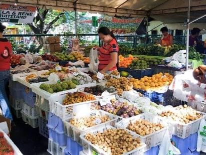 Salcedo Saturday Market near the St Giles Makati Hotel