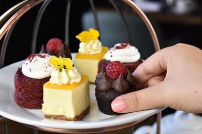 hand grabbing a cake from afternoon tea at easthampstead park in berkshire