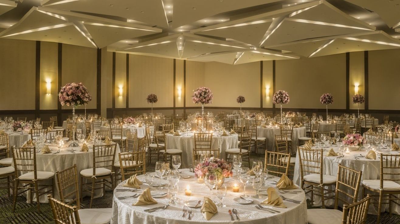 Salón Violeta
