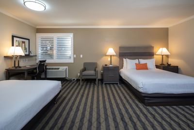 two beds in a hotel room