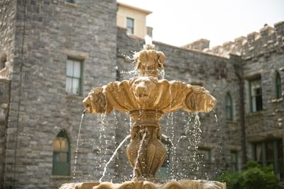 Garden with water fountain at Castle Hotel and Spa
