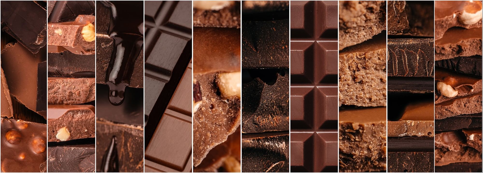 Collection of milk and dark chocolate bars with different textures and nut fillings at Warwick Grand Place Brussels