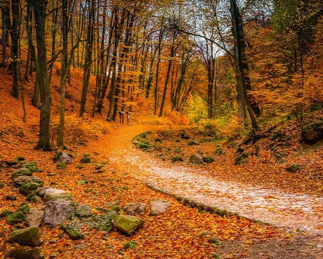 trails and foliage Italy