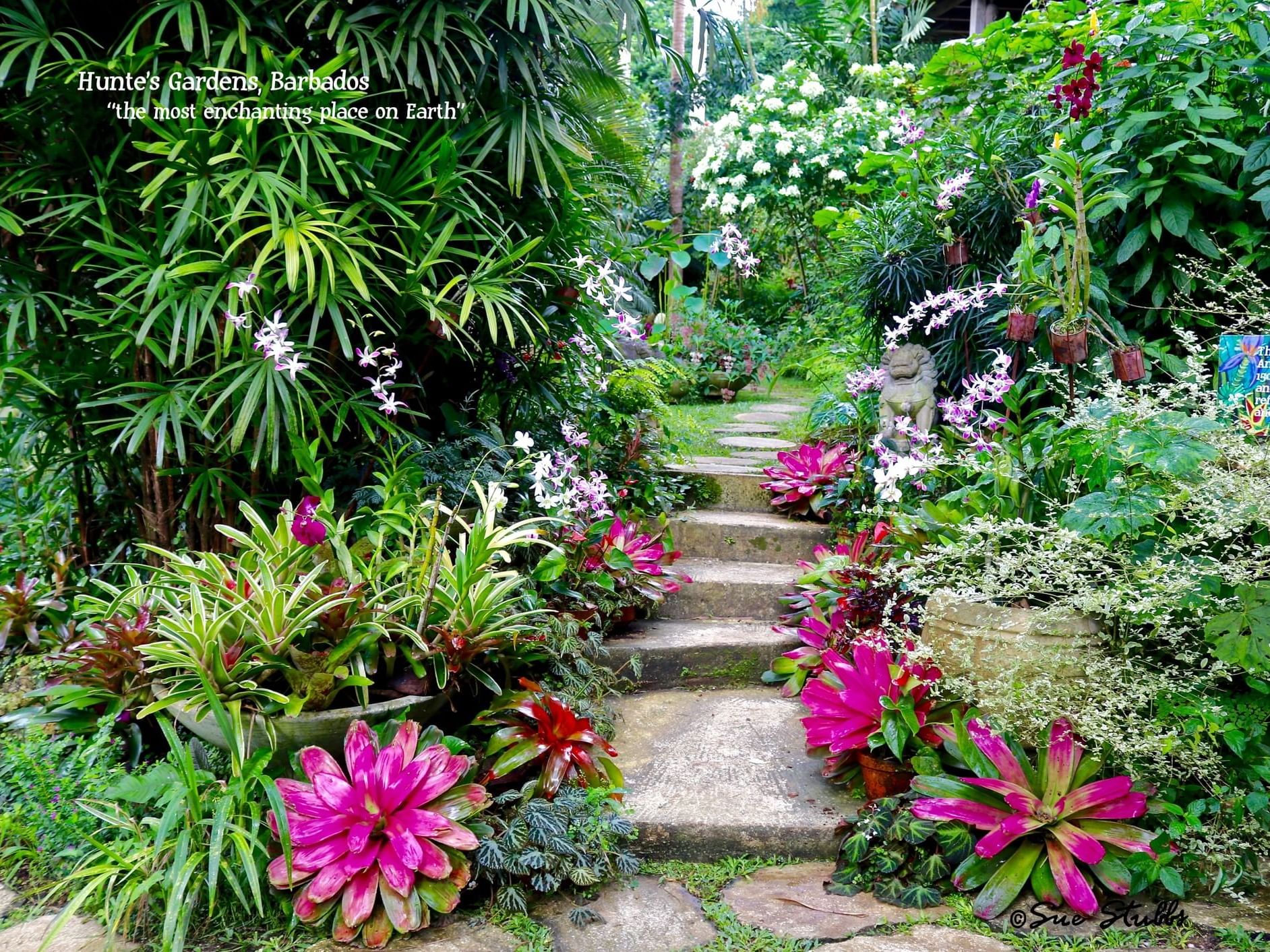 Footpath in the Hunte’s Gardens near Sugar Bay Barbados