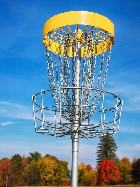 View of a Disc golf basket with a blue sky backdrop at Cove Pocono Resorts
