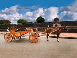 Horse Drawn Carriage in the streets near Hop Inn Hotel