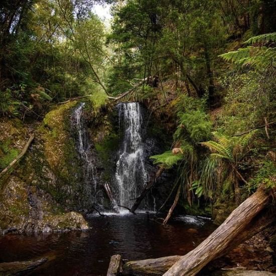 Waterfall at the Tasmanian Wilderness near the Strahan Village