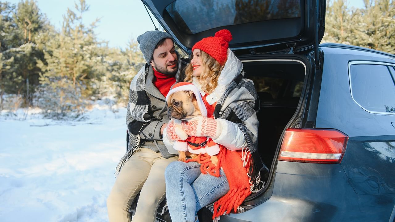 a couple sitting in a car on a road trip with a dog in snow