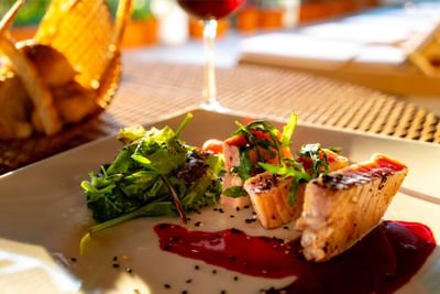 Teriyaki Salmon Fillet with mixed greens and berry sauce on a white plate served at Casa Dona Susana