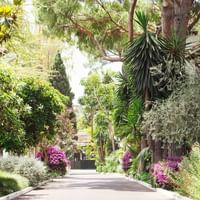 Walkway through the Botanical Garden at Marbella Club