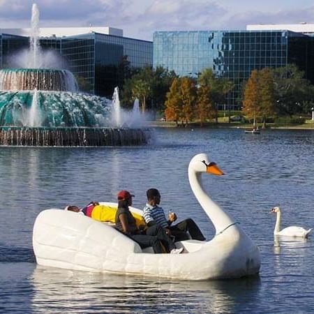 two people riding a swan boat