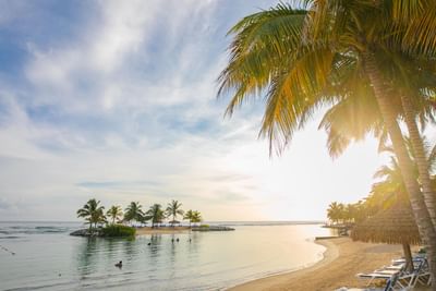 Beach view with coconut trees near Holiday Inn Montego Bay