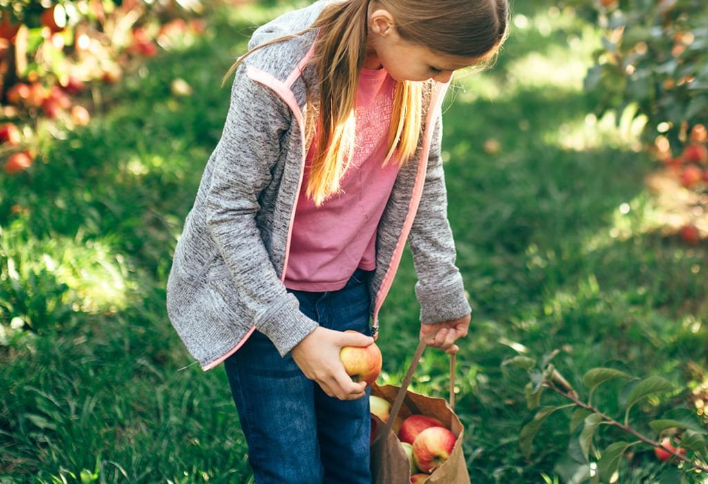 girl apple picking