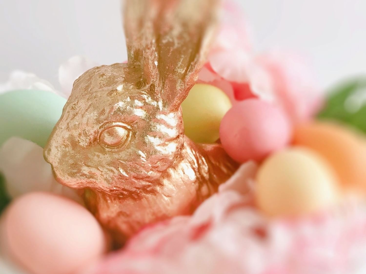 Close-up of an easter bunny candy & eggs at La Galerie Hotel