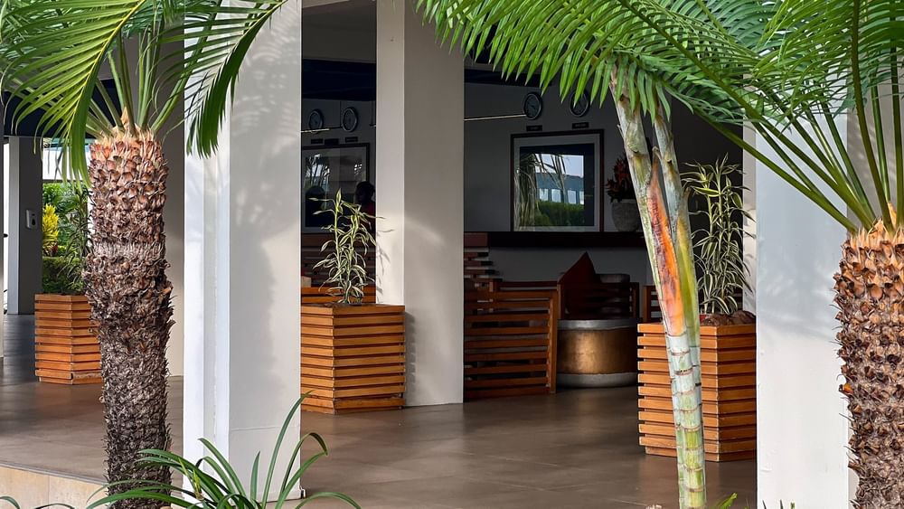 Lush greenery and tropical palm trees outside the lobby at Tokatoka Resort - Fiji International Airport.