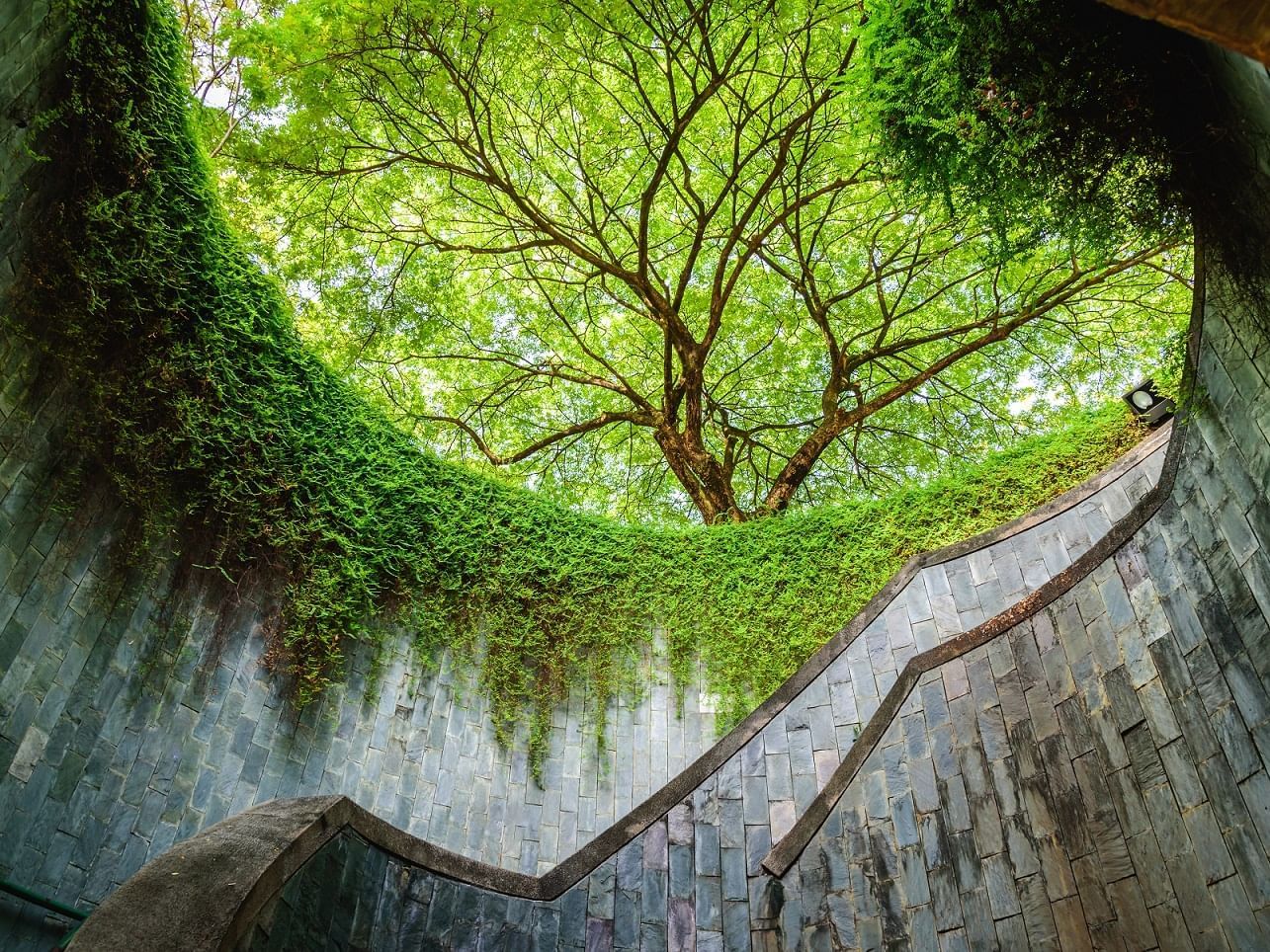 Interior of Fort Canning Park near Carlton Hotel Singapore