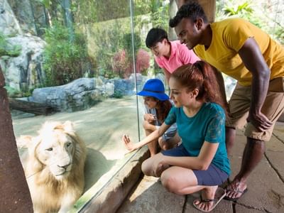 Attractions close to Sunway Clio Hotel