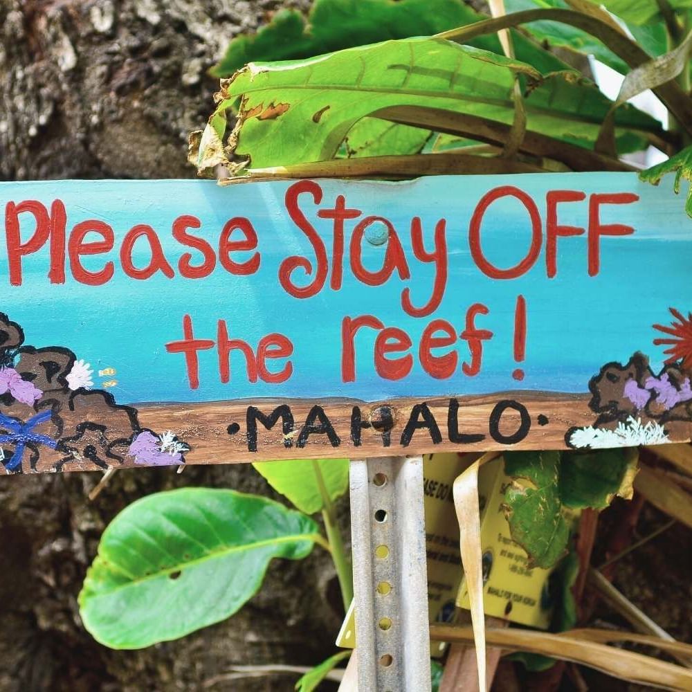 Please stay off the Reef board near Waikiki Resort Hotel by Sono