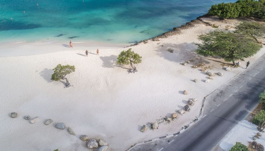 Aerial view of the coastline near Amsterdam Manor Resort