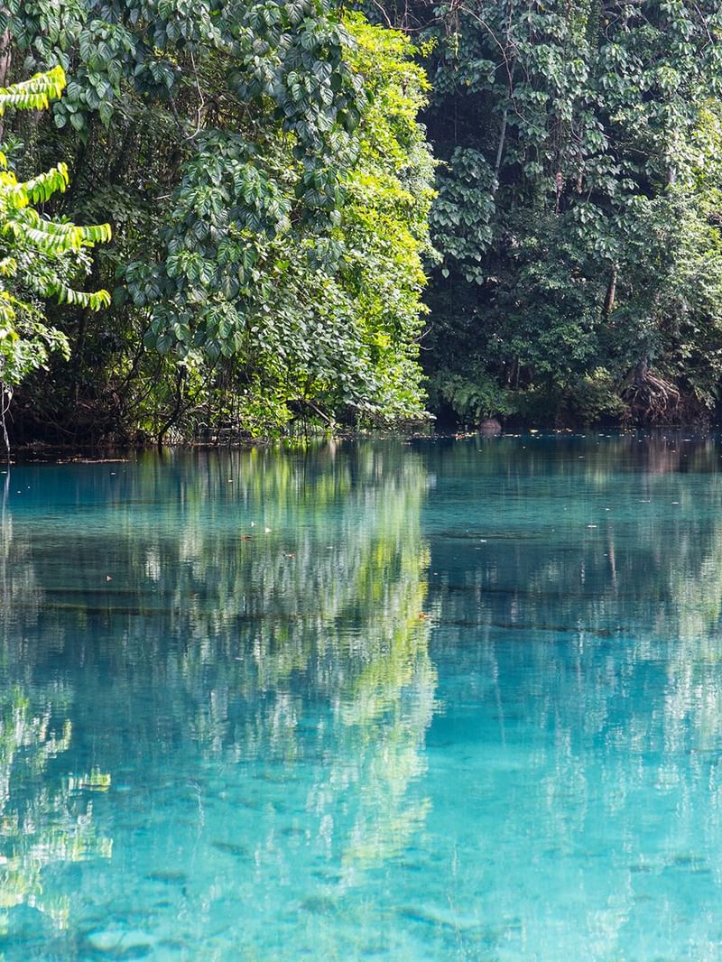 Dense forest with vibrant blue water reflecting trees at Port Vila.