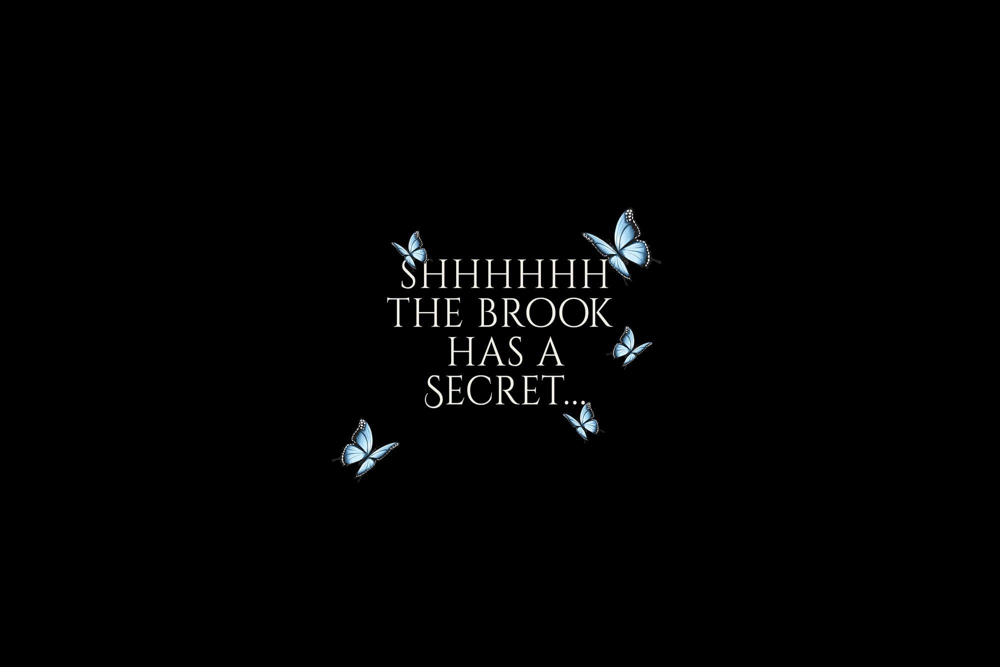 Poster reading Shhhhhh The Brook Has A Secret with blue butterflies flying around on black background at The Brook